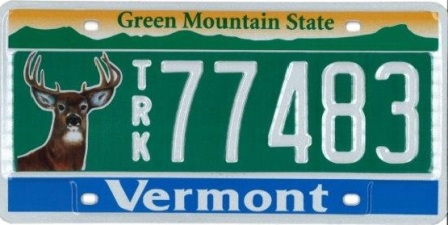 Vermont Veteran License Plate Personalized Custom Auto Bike Motorcycle Moped Tag 