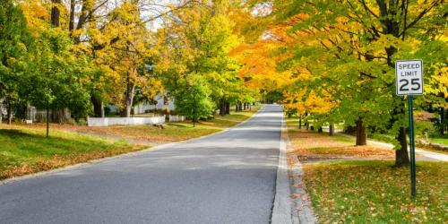 speed limit sign on a neighborhood road