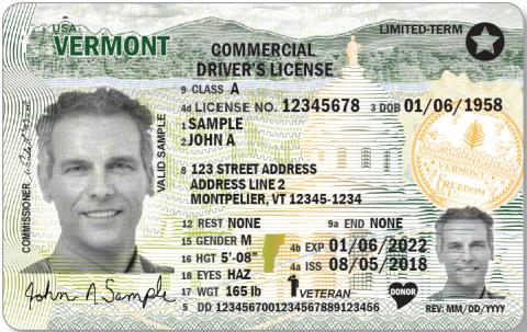 sample vt license