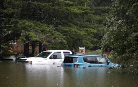 cars in a flooded parking lot